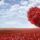 Día Mundial del Corazón: Prevenir Enfermedades Cardiovasculares con Hábitos Saludables